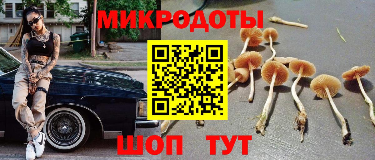 Абинск  Галлюциногенные грибы Magic Shrooms  Вход с VPN 
