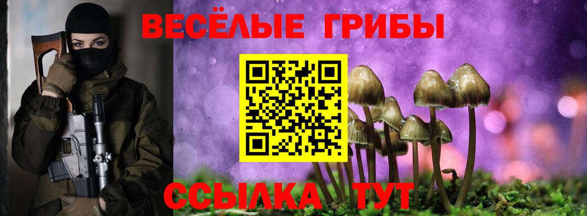 Галлюциногенные грибы MAGIC MUSHROOMS Абинск